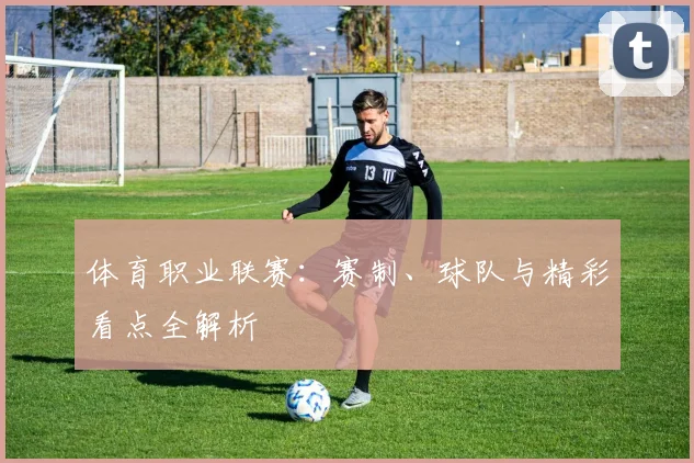 体育职业联赛：赛制、球队与精彩看点全解析