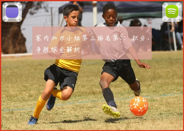 塞内加尔小组第三排名第5：积分、净胜球全解析