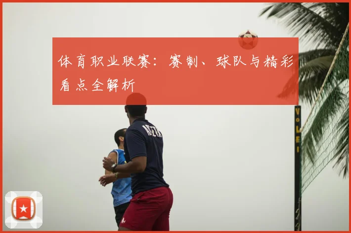 体育职业联赛：赛制、球队与精彩看点全解析